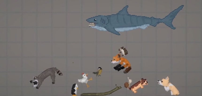 Animals 1