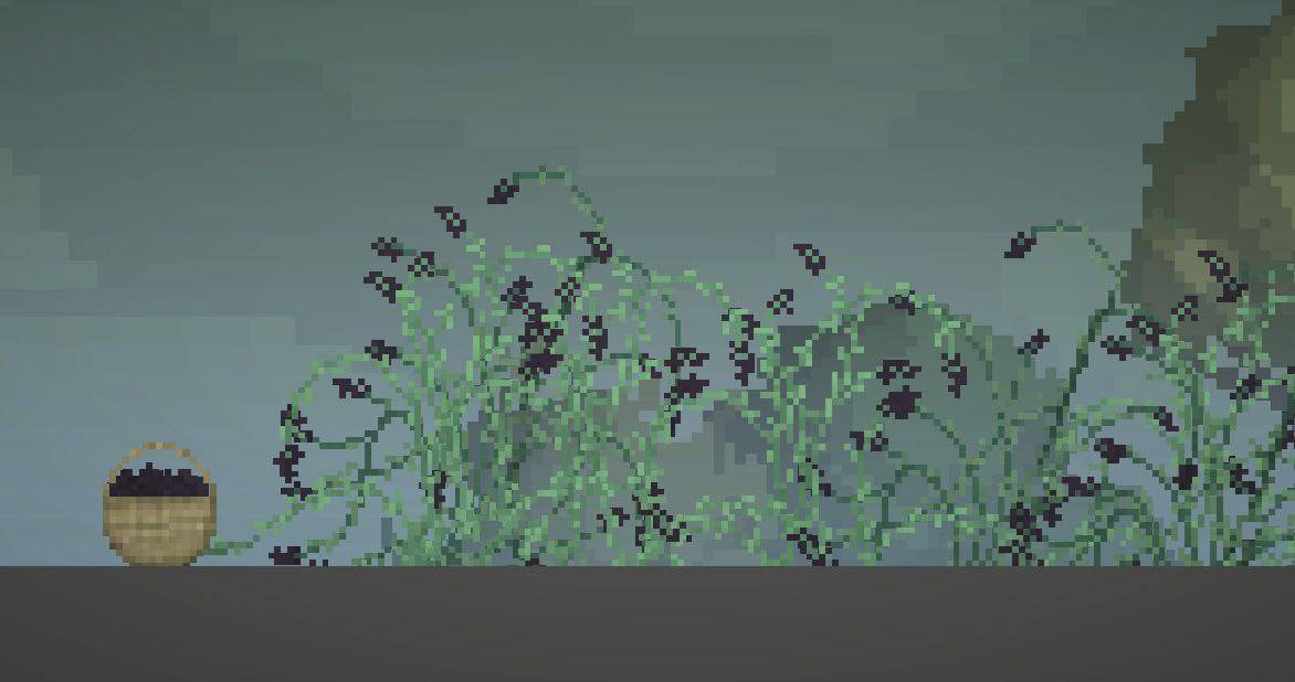 Berries Pack 1