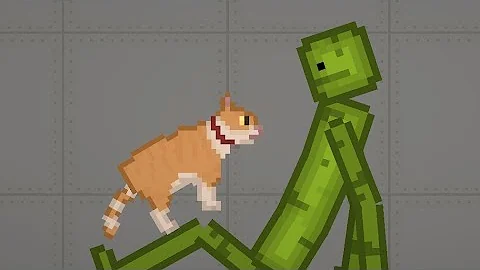 cat 1