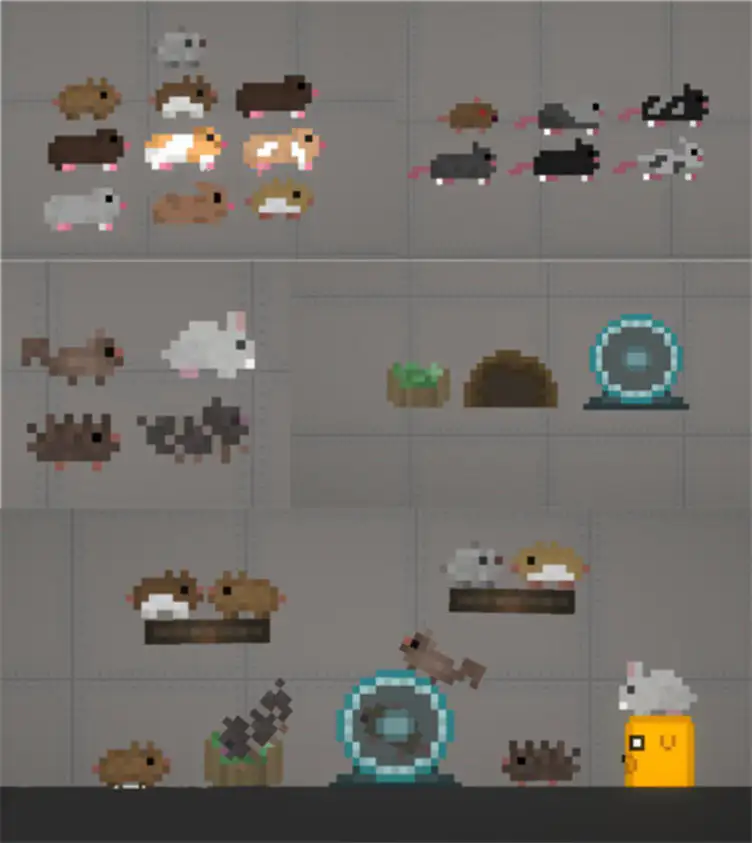 Small Animals 1