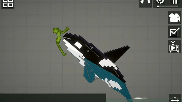 orca 1