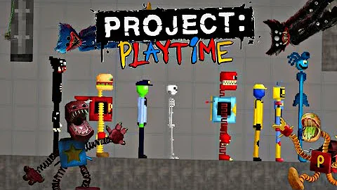 project Playtime 1